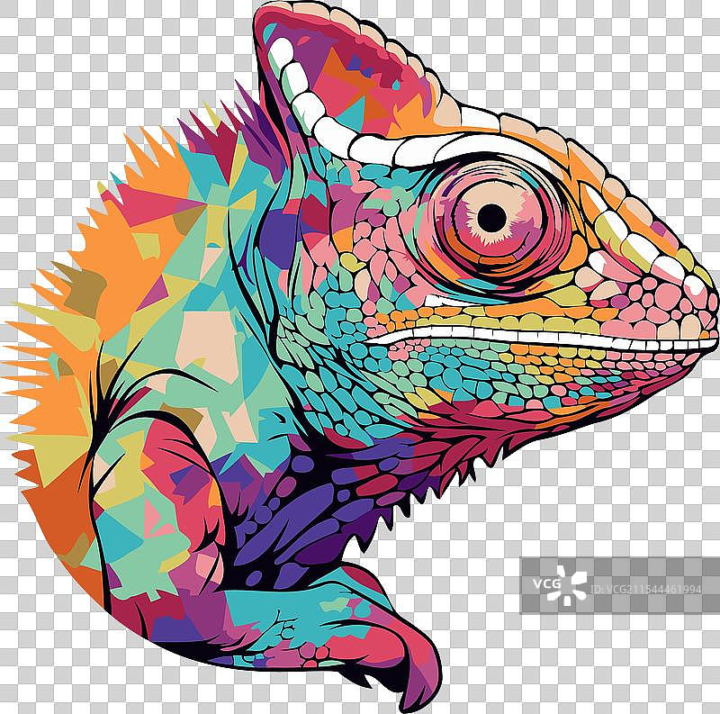 五彩斑斓的变色龙在白色背景上图片素材