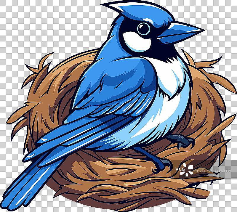 孤立在白色背景上的卡通蓝山雀鸟巢图片素材