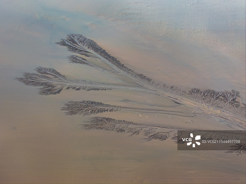 钱塘江潮汐树图片素材