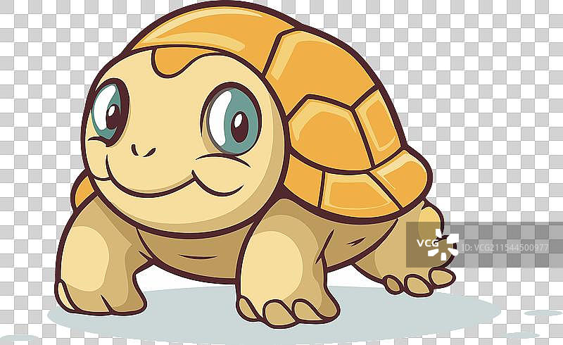 可爱的卡通海龟，背景为白色图片素材