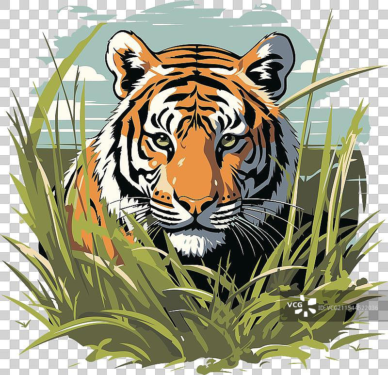 野生动物草丛中的老虎图片素材