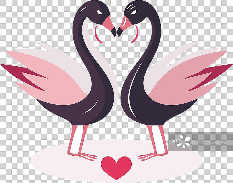 爱情天鹅，两只黑天鹅相爱的图标图片素材