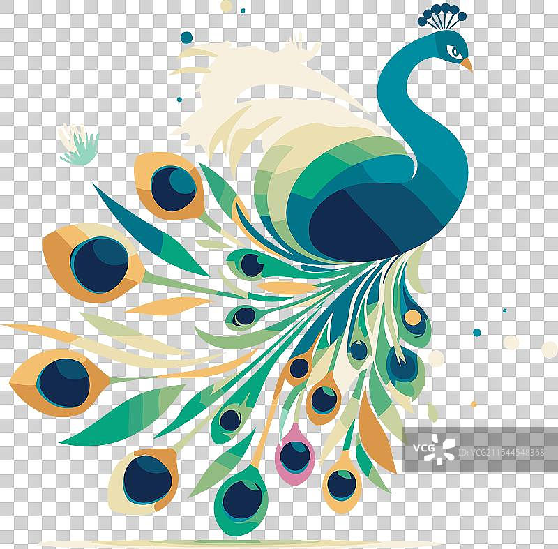 白色背景上的花卉装饰孔雀图片素材