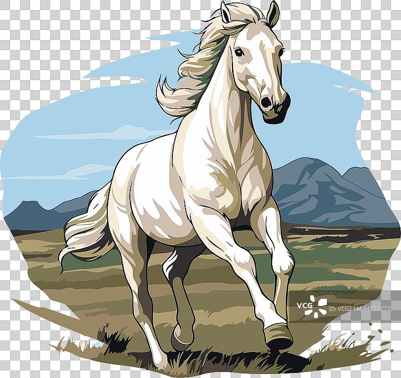 在田野上奔跑的长鬃白马图片素材