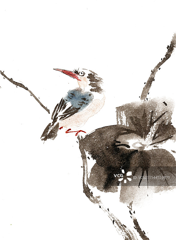 荷叶与小鸟图片素材