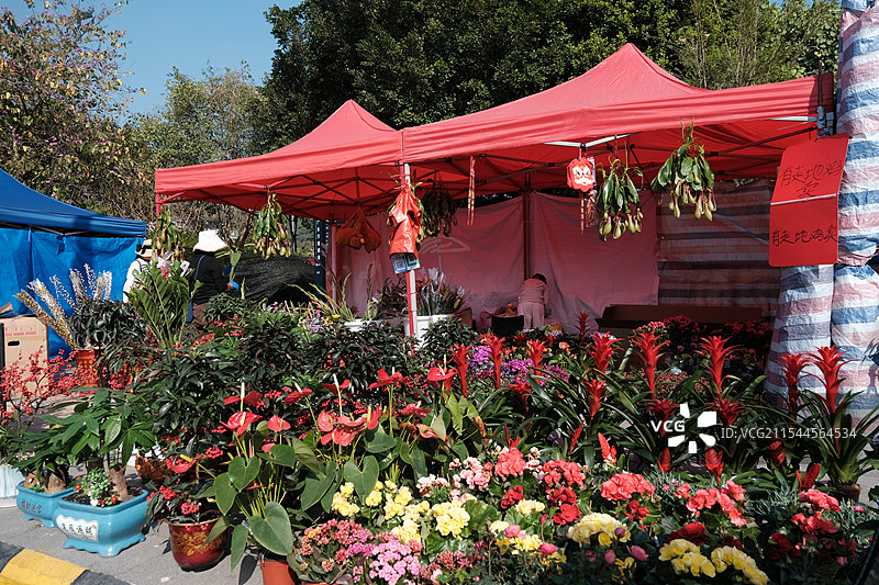 迎春花市图片素材