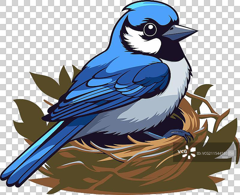卡通蓝山雀的巢里有一只蓝山雀图片素材
