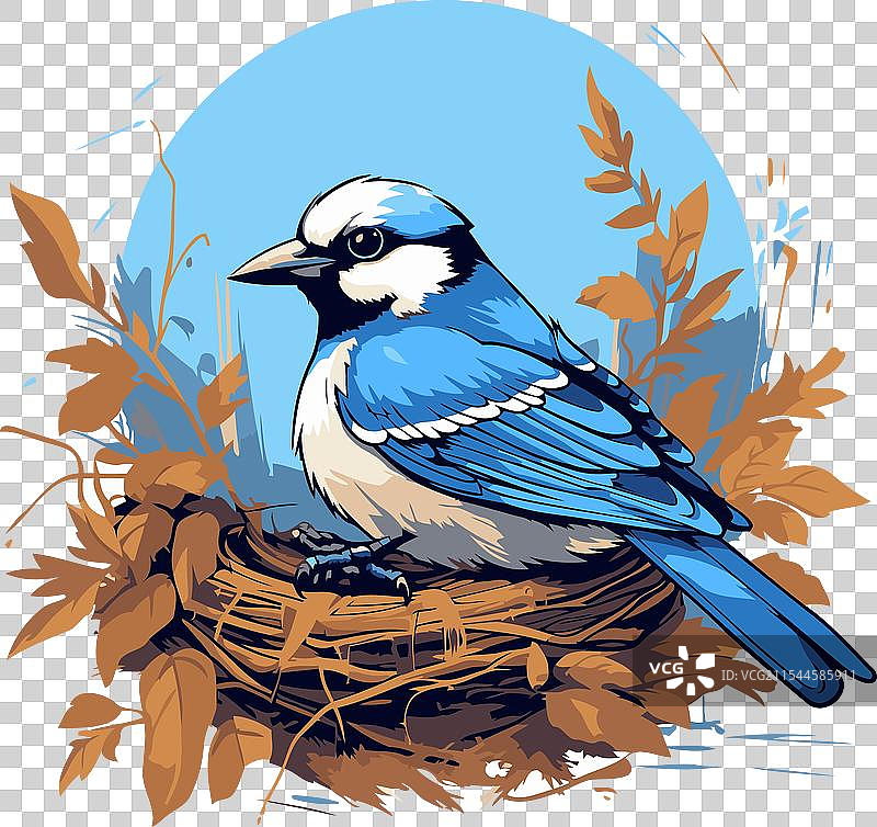 蓝山雀栖息在树叶中的巢里图片素材