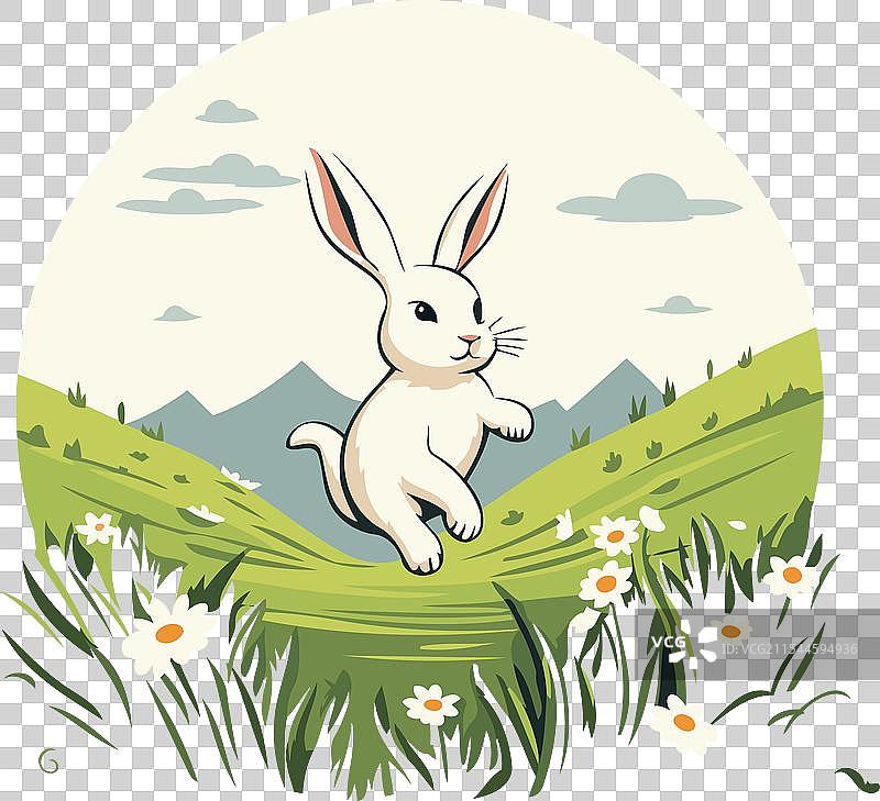 草地上的兔子与雏菊图片素材