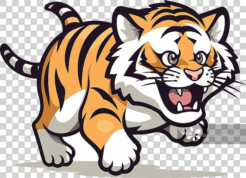 孤立在白色背景上的奔跑老虎图片素材