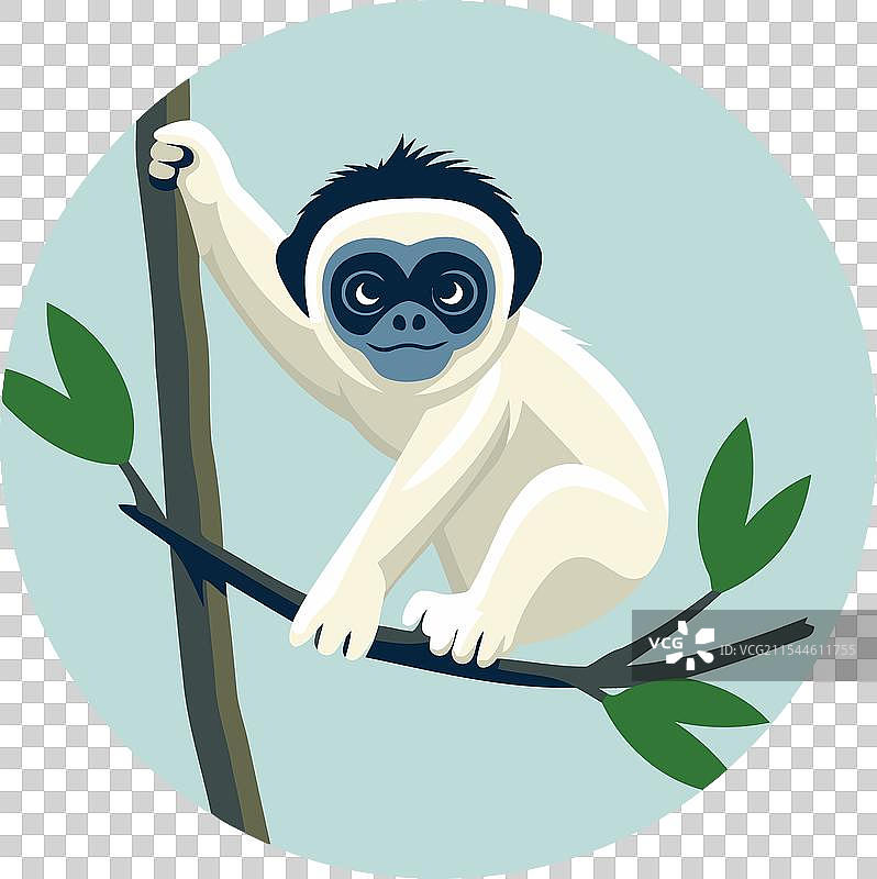平面风格的白色长臂猿栖息在树枝上图片素材