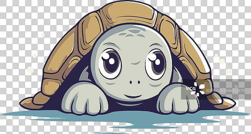 可爱的卡通乌龟与搞笑的陆龟图片素材