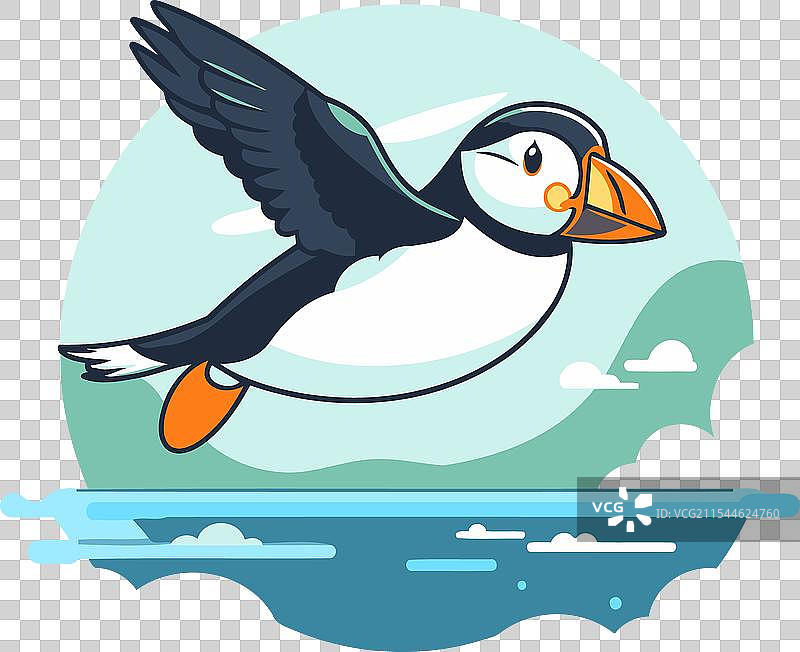 在海面上飞翔的扁平风头鹦鹉鸟图片素材