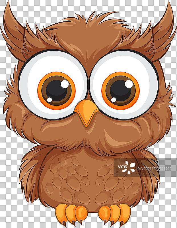 可爱的棕色猫头鹰，拥有大而富有表现力的眼睛图片素材