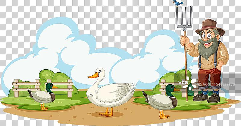 快乐的农民在农场里与鸭子站在一起图片素材