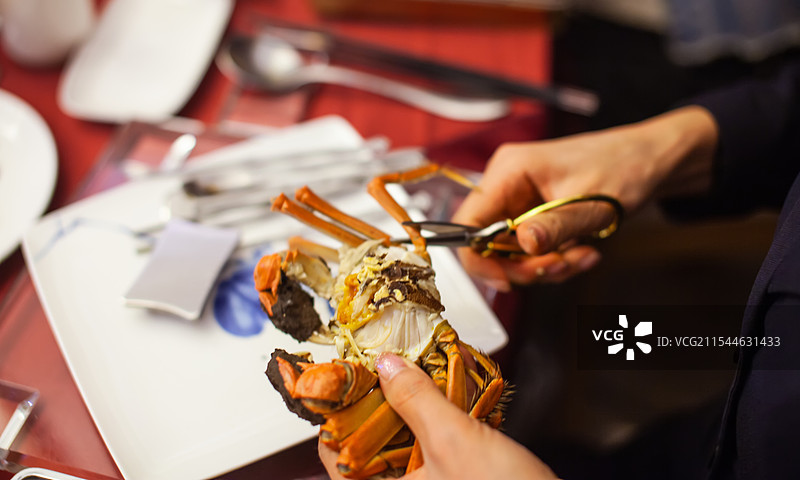 苏州阳澄湖，一位中国女性正在用蟹八件工具品尝大闸蟹图片素材