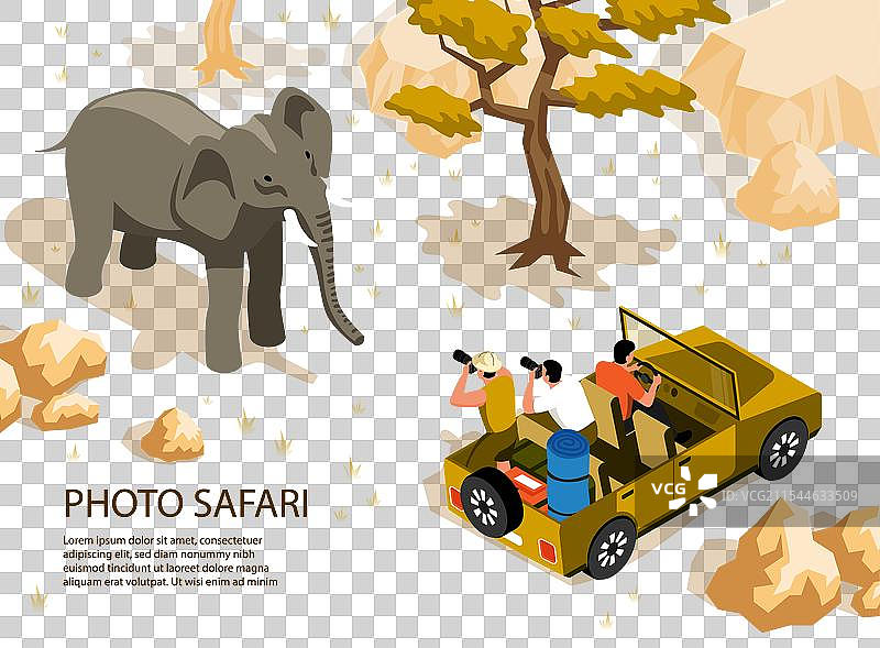 摄影野生动物之旅图片素材