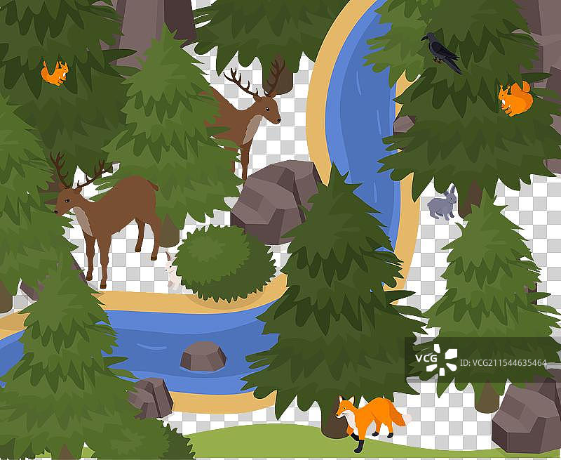 异国宠物动物的组合图片素材