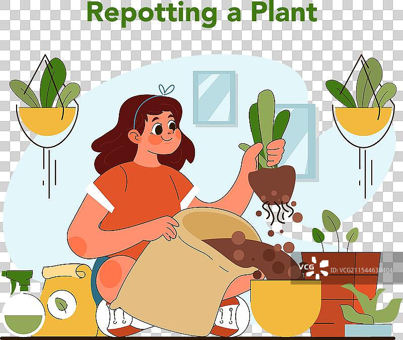 植物换盆概念平面图图片素材