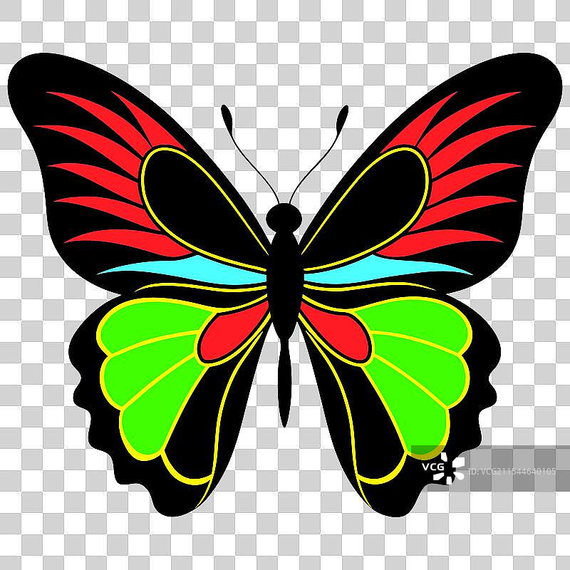 极简主义蝴蝶图片素材