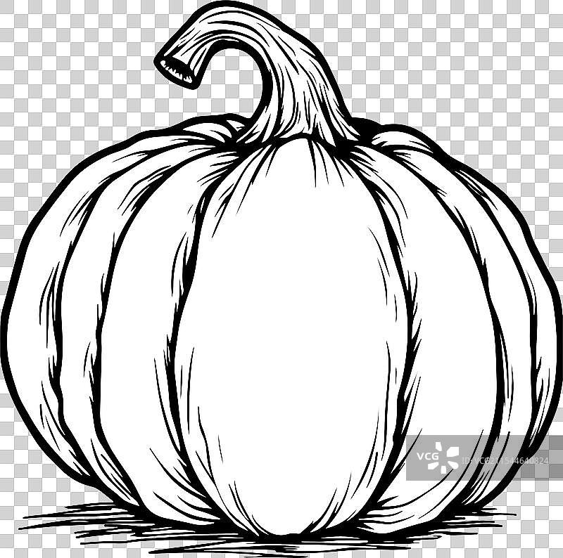 南瓜的线条艺术涂色页图片素材