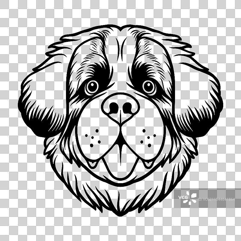 圣伯纳犬宠物动物线条艺术图片素材