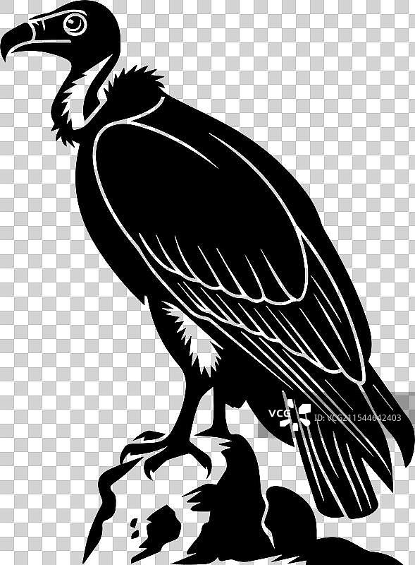 鸟类图标的剪影图像图片素材