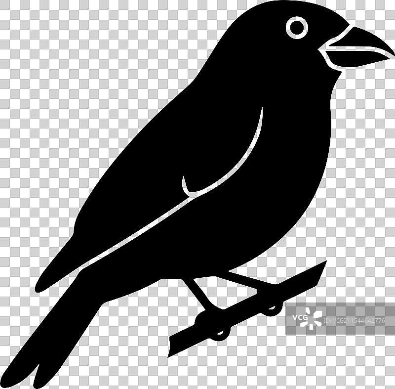 鸟类图标的剪影图像图片素材