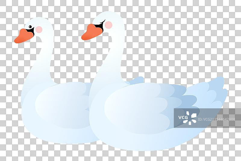 天鹅鸟类动物卡通插画元素图片素材