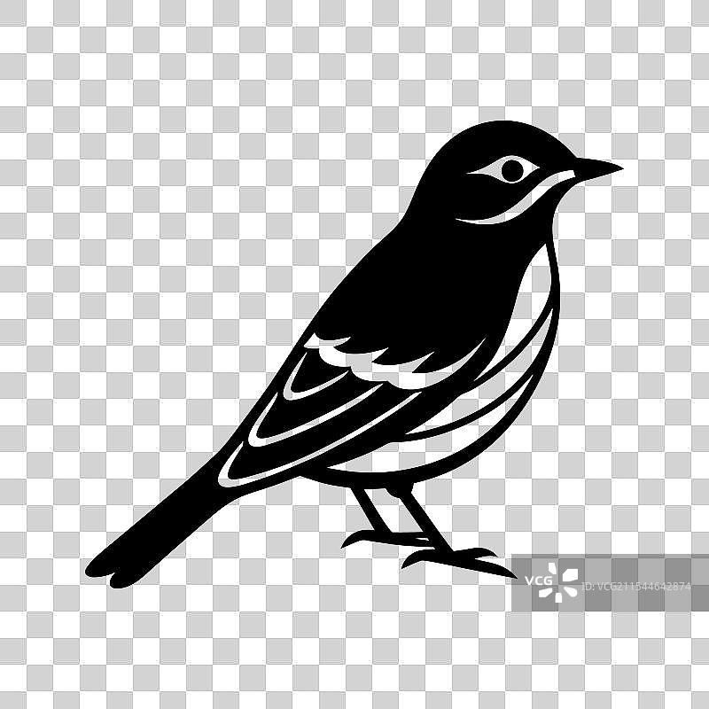 田纳西鹟图片素材