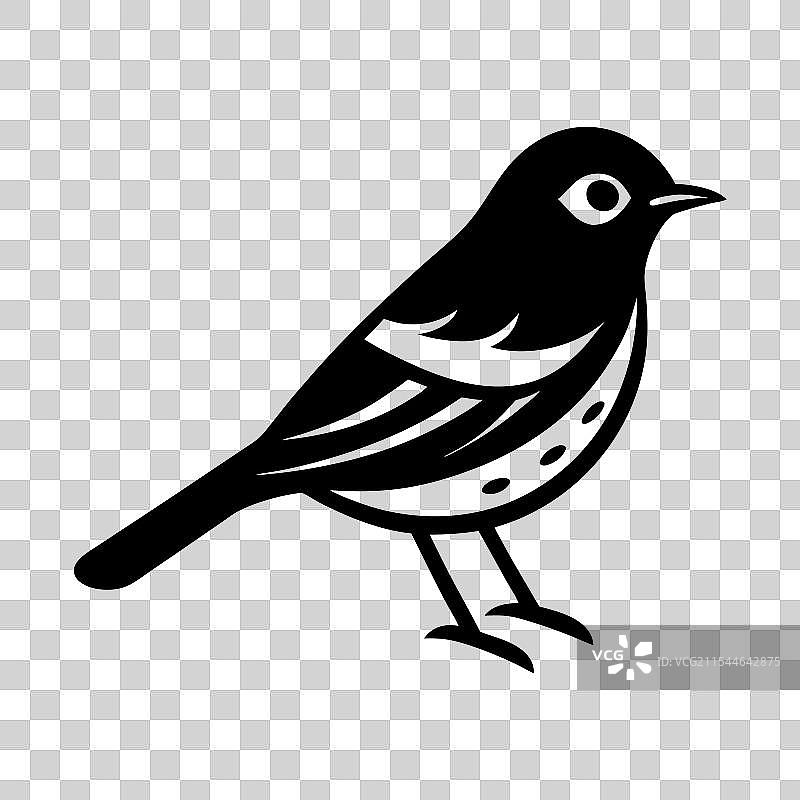 田纳西鹟图片素材