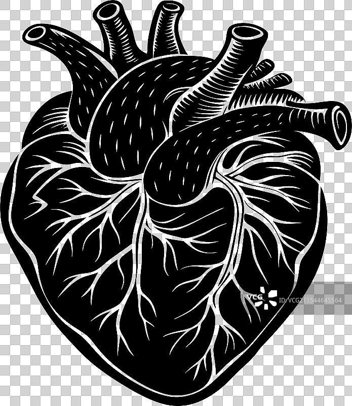 心形轮廓与白色背景 1图片素材