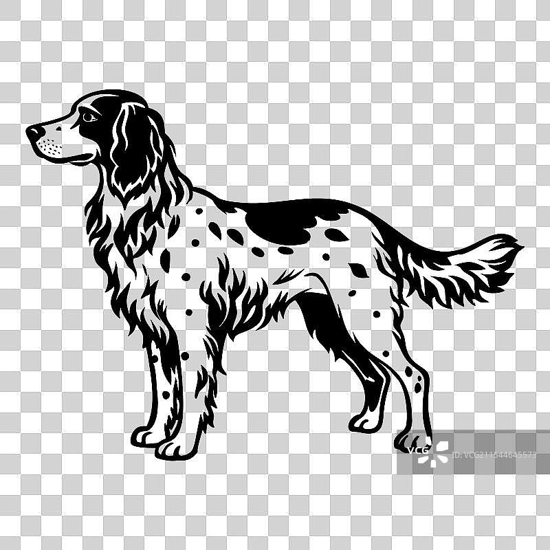 黑白全身英式设得犬图标图片素材