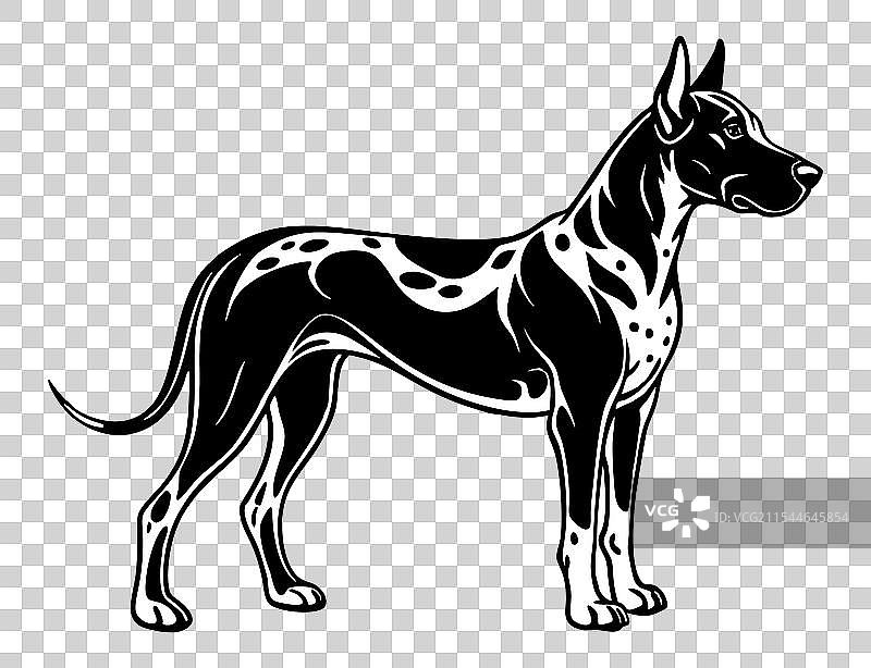 大丹犬全身图标，黑白色图片素材