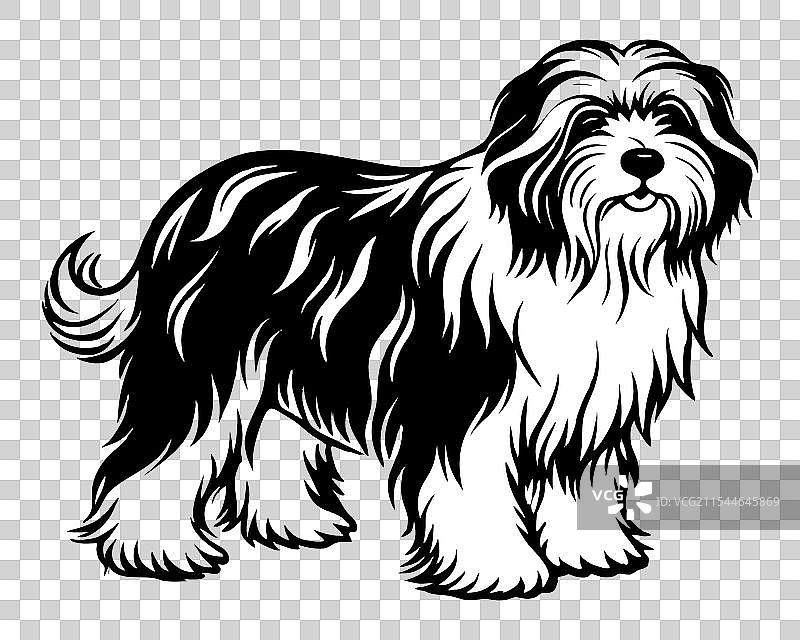 黑白全身英式牧羊犬图标图片素材