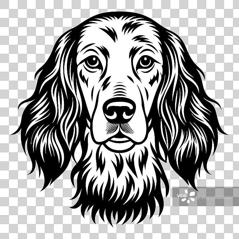黑白色的英式设得兰犬头部图标标志图片素材