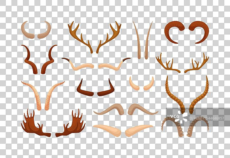 现代动物角的套装图片素材