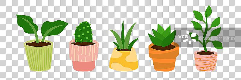 卡通风格的盆栽植物组合图片素材