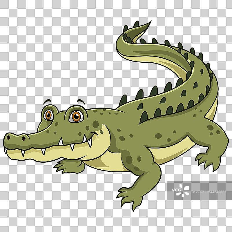 可爱的鳄鱼卡通图案在白色背景上图片素材