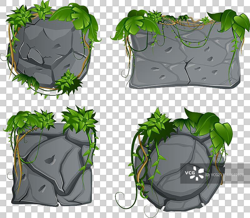 藤本植物石头标志套装图片素材