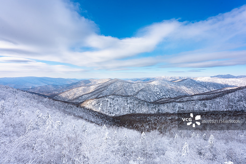 中国雪乡冰雪画廊，冬天蓝天白云下的林海雪原和雾凇雪景风光图片素材