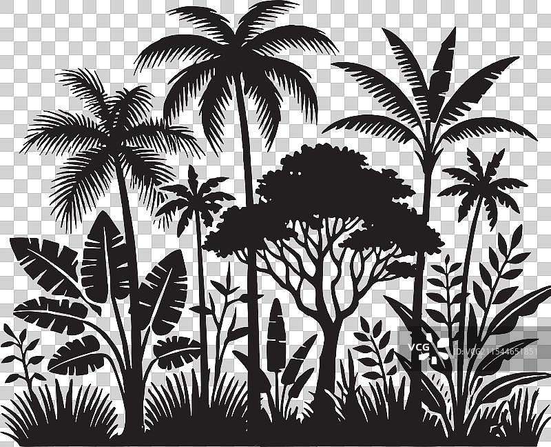 丛林中的树木剪影图片素材