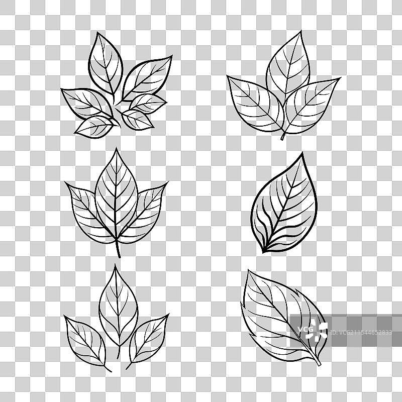 一组叶子剪影艺术免费下载图片素材