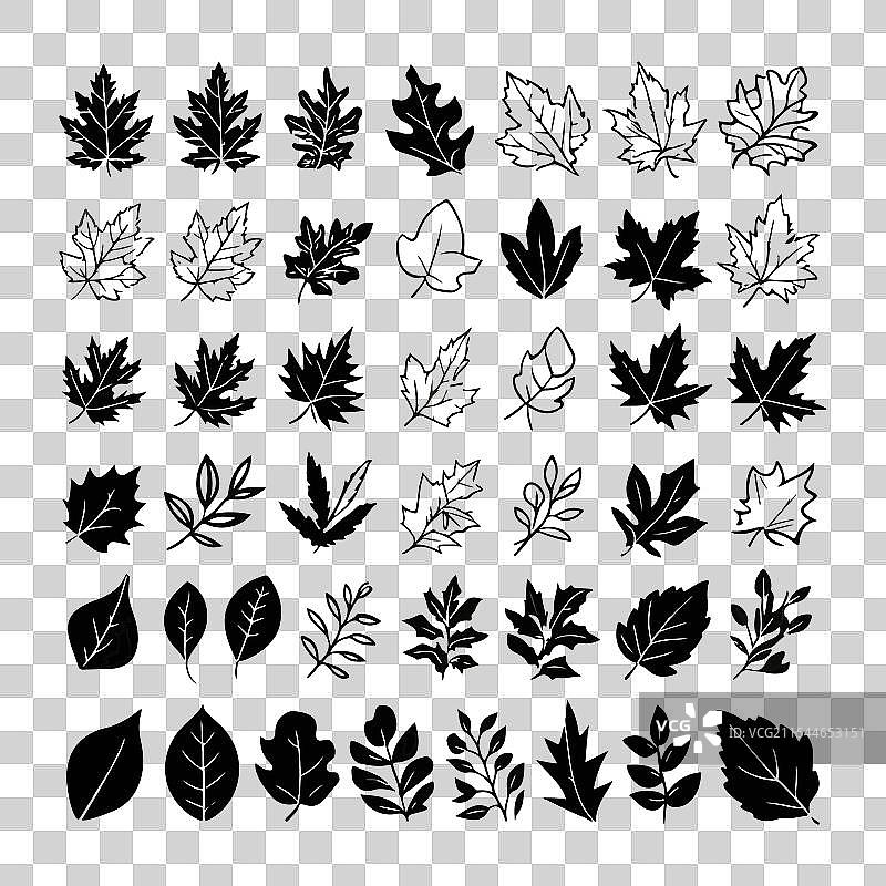 一套叶子剪影艺术免费下载图片素材