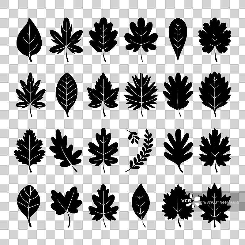 一套叶子剪影艺术免费下载图片素材
