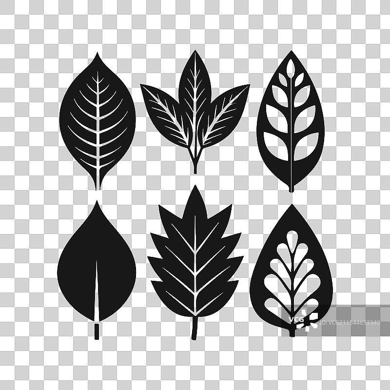 一套叶子剪影艺术免费下载图片素材