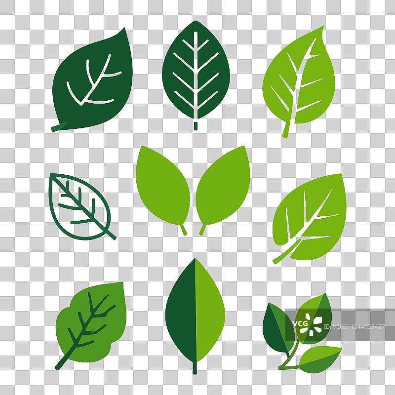 一套叶子剪影艺术免费下载图片素材