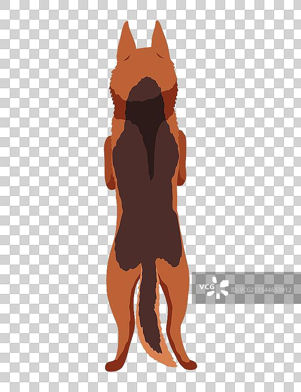 狗挂在边界上，背面全身平视图图片素材