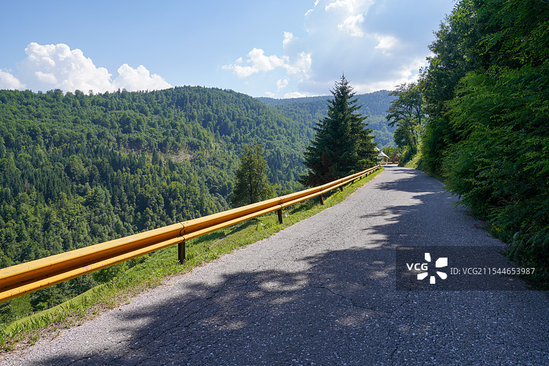 巴尔干地区 塞尔维亚 空旷的路靠着树顶着天空图片素材