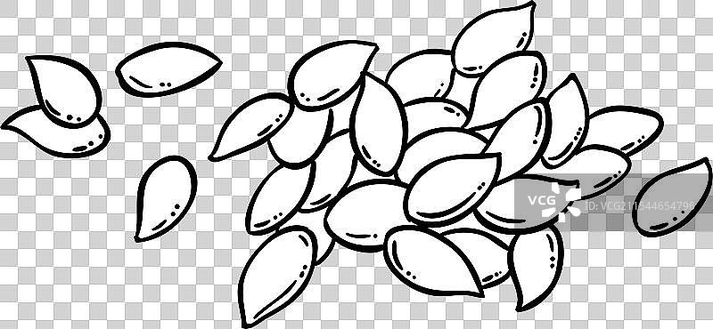 亚麻籽轮廓图 isolated图片素材